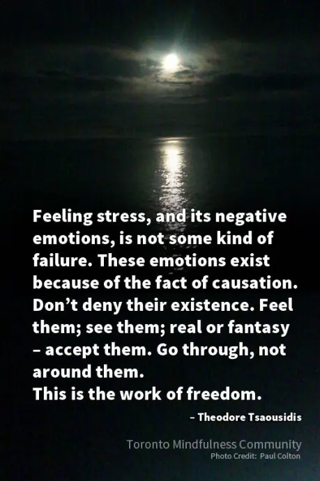 Feeling Stress Is Not Failure