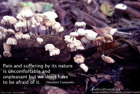 Pain and Suffering Without Fear