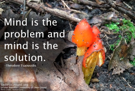 Mind Is the Problem and the Solution
