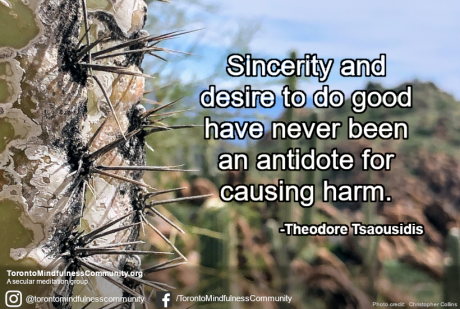 Sincerity Is Not an Antidote for Harm
