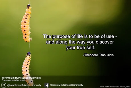 The Purpose of Life Is to Be of Use