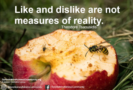 Like and Dislike Are Not Measures of Reality