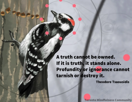 A Truth Cannot Be Owned