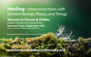 Healing: Interconnections with Sentient Beings, Places, and Things (September-November 2024)