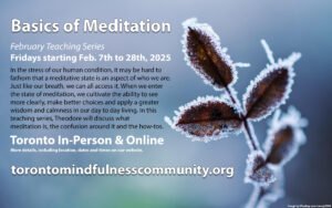 Basics of Meditation (February 2025)