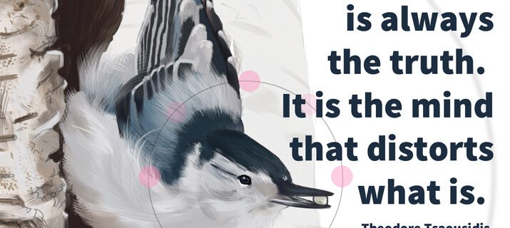 Quote: The truth is always the truth. It is the mind that distorts what is. - Theodore Tsaousidis