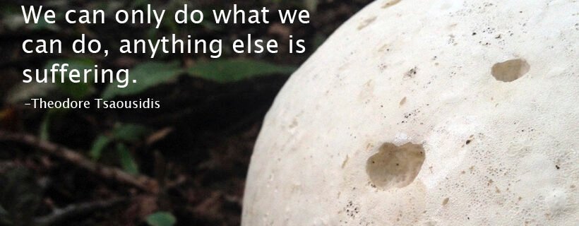 Quote: We can only do what we can do, anything else is suffering. - Theodore Tsaousidis