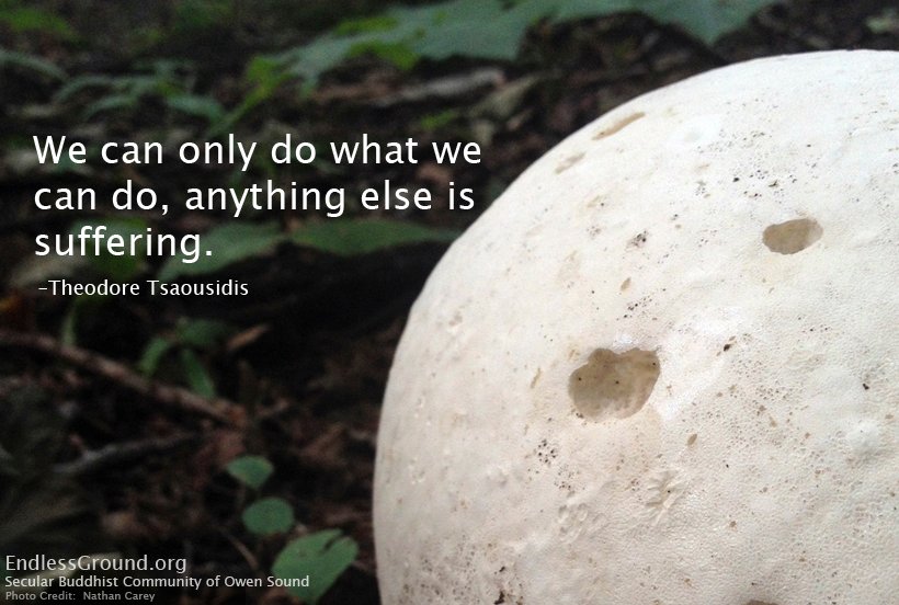 We Can Only Do What We Can Do