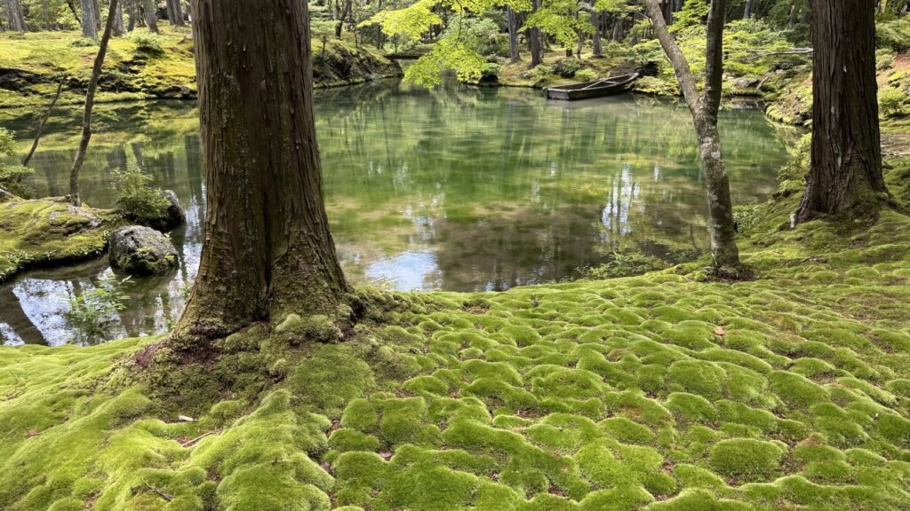 A tree trunk rooted in a carpet of soft green moss beside a still pond